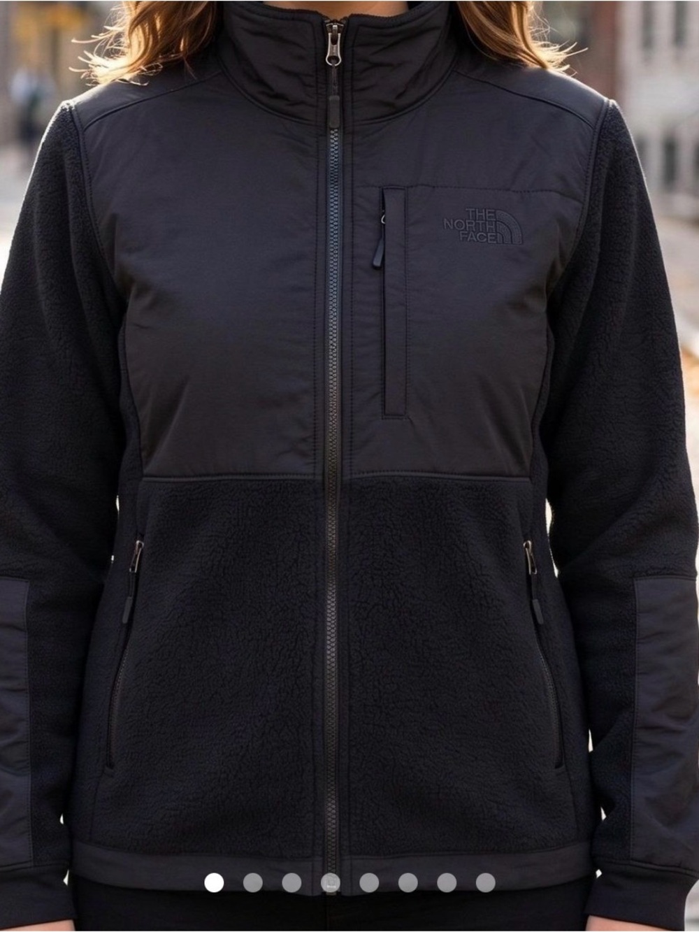 The North Face Black Denali Retro Full-Zip Fleece Jacket